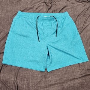 Chubbies Men's Shorts Size 2xl